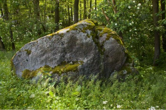 Zdjęcie obiektu turystycznego: Diabelski Kamień w Kamienicy
