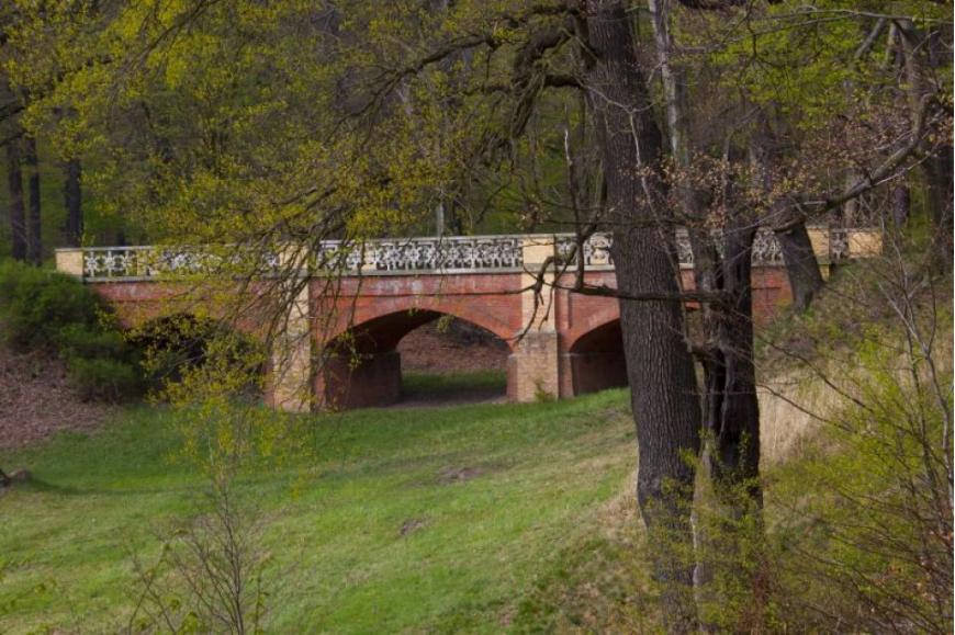 Most Królewski w Parku Mużakowskim