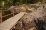 Miniatura zdjęcia: Ścieżka geoturystyczna w Trzebielu